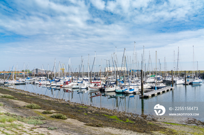 view of the harbor and marina at Yerseke in Zeeland