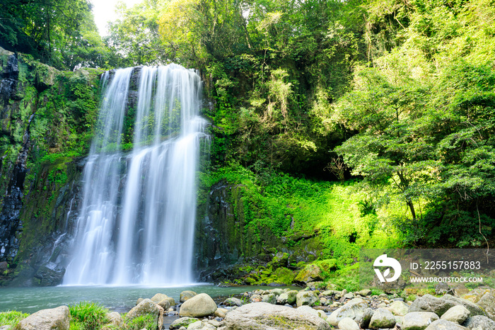 夏の桜滝　大分県日田市　Sakuradaki Falls in summer. Ooita-ken Hita city.