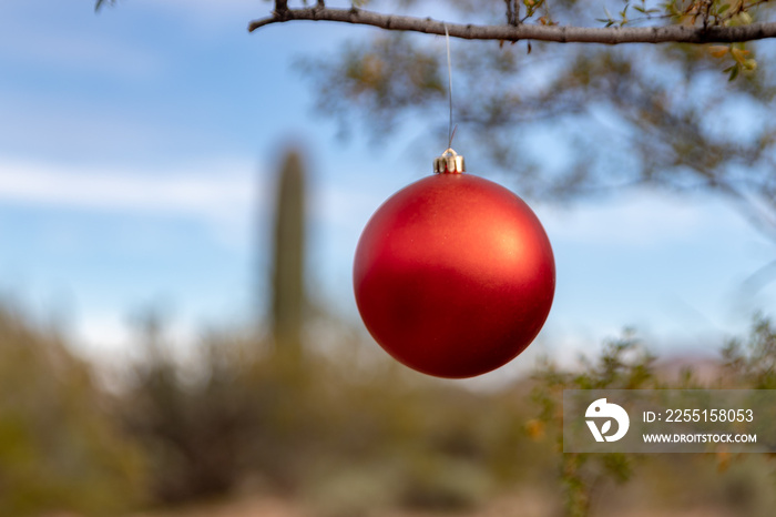 red Christmas ornament in desert