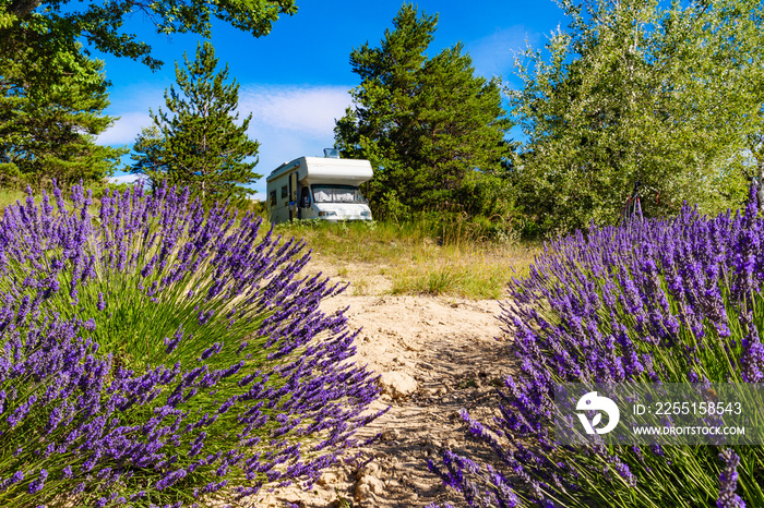 Caravan camping at lavender field, France
