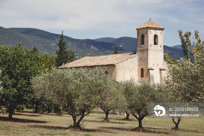 Church and olive trees in Lourmarin, Provence, France