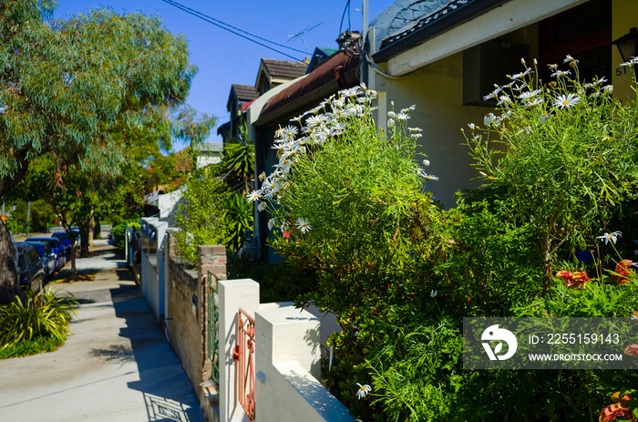 Suburban Street with Town Houses trees and yard plants in Sydney Australia