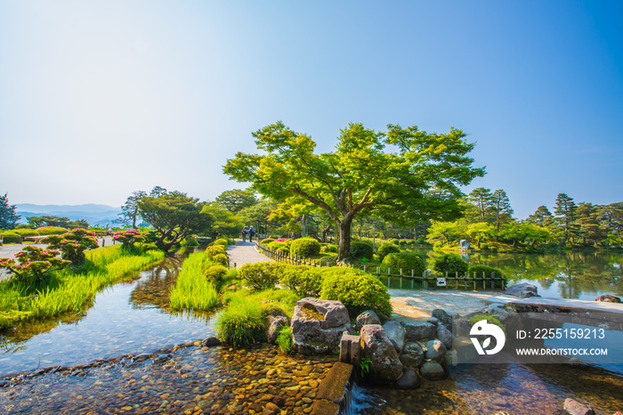 石川県金沢市　新緑の兼六園