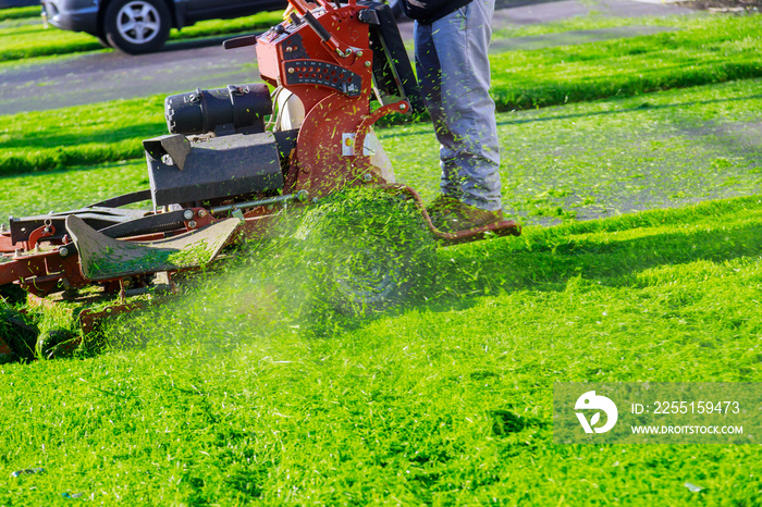 Man cutting lawn with using a gasoline mower