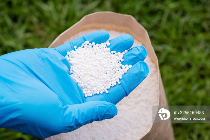 Hand in glove holding nitrogen fertilizer. Concept of fertilizing grass