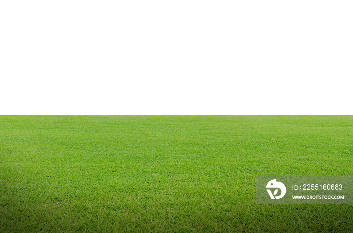 Green grass field isolated on white background with clipping path.