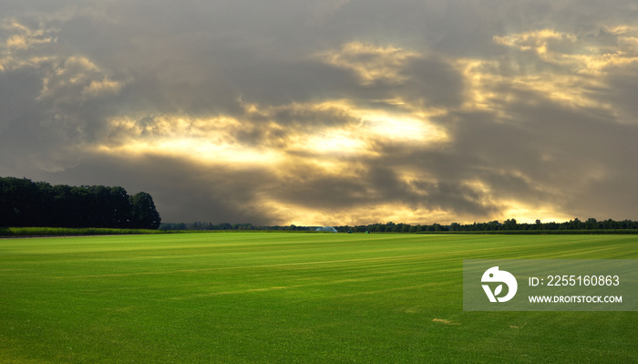 Huge green grassy plain under yellow orange evening sky with clouds and sun shining through