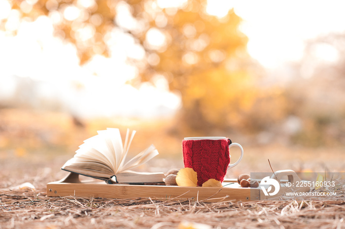 Knitted cup of coffee staying with open book on wooden tray outdoors over autumn nature background. Seasonal.