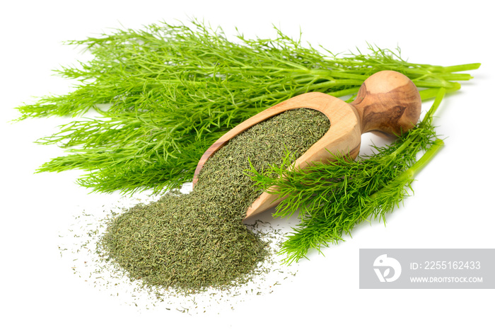 dried dill weed in the wooden scoop, with fresh dill weed, isolated on white