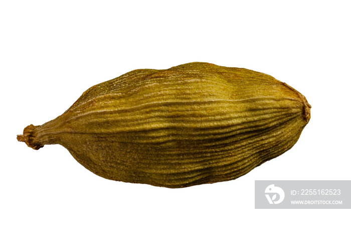 .macro shot of one pod of cardamom green isolated on a black background very close in detail