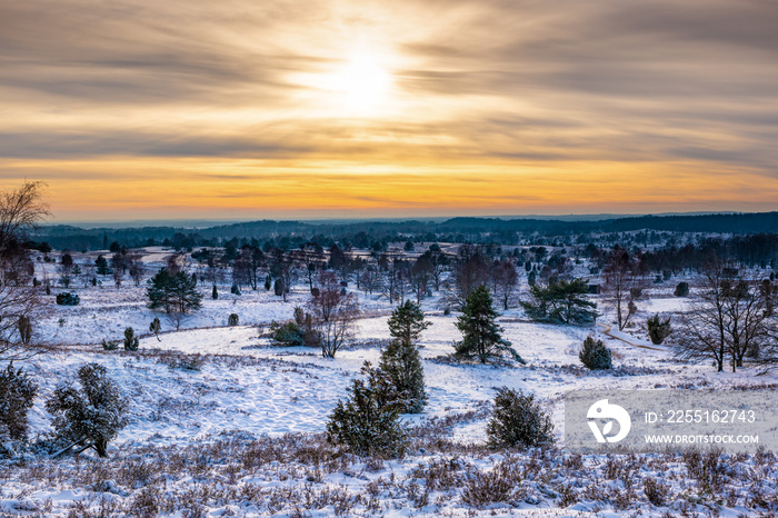 The Lueneburg Heath Nature Park in winter (German: Naturpark Lüneburger Heide) in Lower Saxony, Germany.