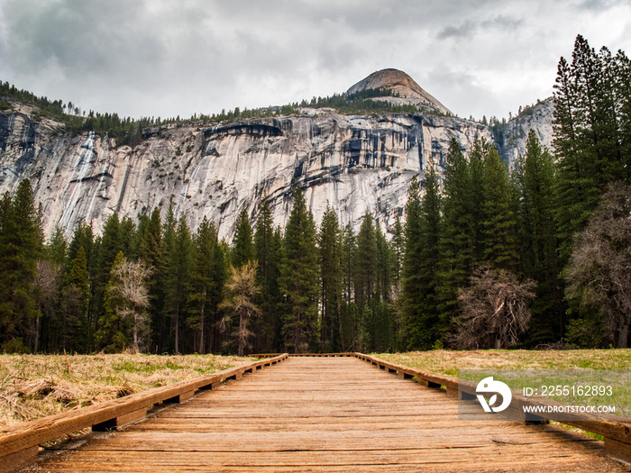 Meadow Boardwalk in Yosemite Valley