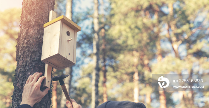 ornithologist installing birdhouse on the tree trunk