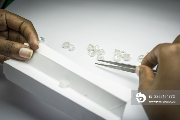 Woman’s hands inspecting rough diamonds with forceps.