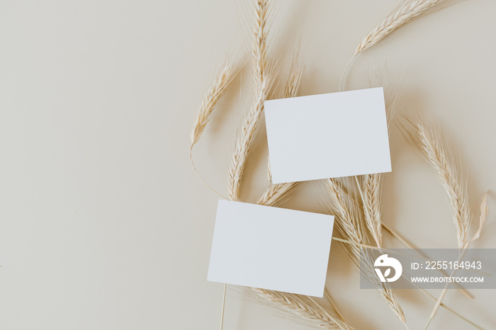 Blank paper business cards with mockup copy space on rye, wheat stalks on beige background. Minimal business template. Flatlay, top view.