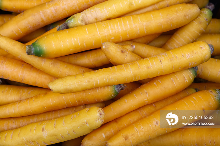 Heap of fresh new spring yellow carrots