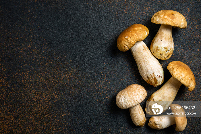 Autumn background with forest mushrooms. Mushroom boletus on dark table. Autumnal composition with cep mushrooms boletus on dark background close up. Cooking mushroom, copy space