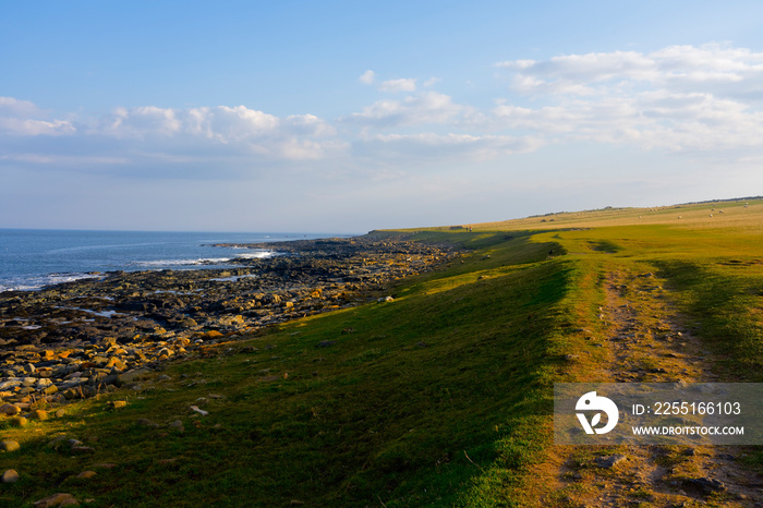 The setting sun casts long shadows over a Northumbrian beach near Craster, Alnwick