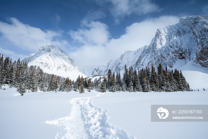 A snowshoe trail to Mount Chester in winter, Peter Lougheed Provicial Park, Alberta, Canada