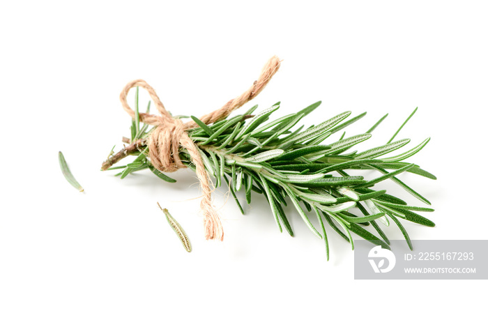 rosemary isolated on white background,