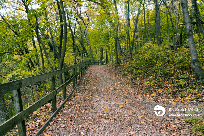 Beautiful colorful parks in Illinois country side in autumn