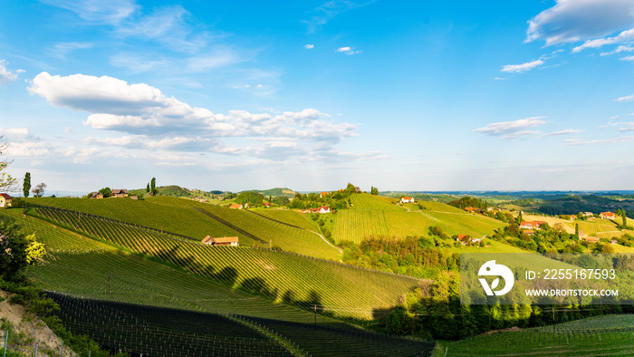 South styria vineyards landscape, near Gamlitz, Austria, Eckberg, Europe. Grape hills view from wine road in spring. Tourist destination, travel spot.