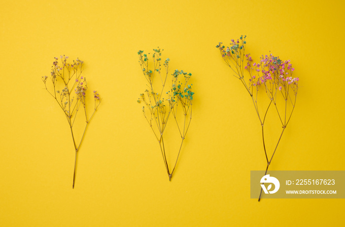 Bouquet of dry wildflowers on a yellow background, top view