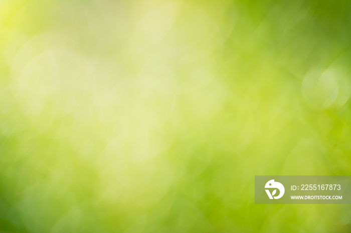 abstract blur effect nature green background