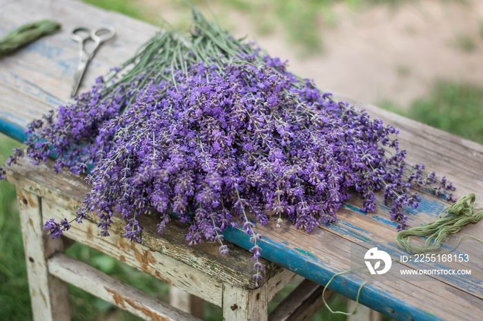 bunch of lavender on wooden background