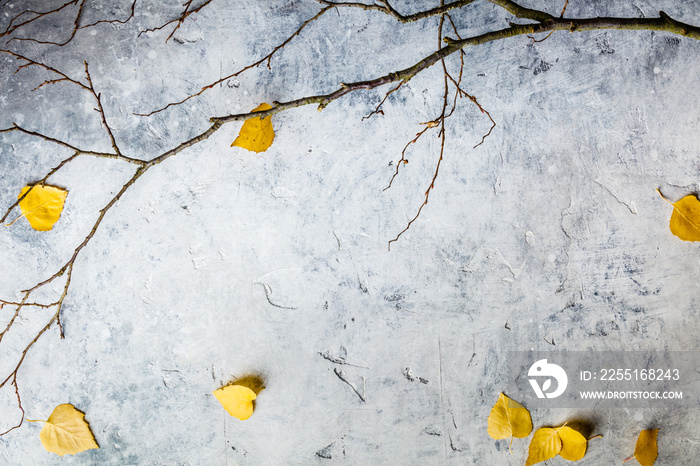 Autumn composition made of dried leaves and branches.