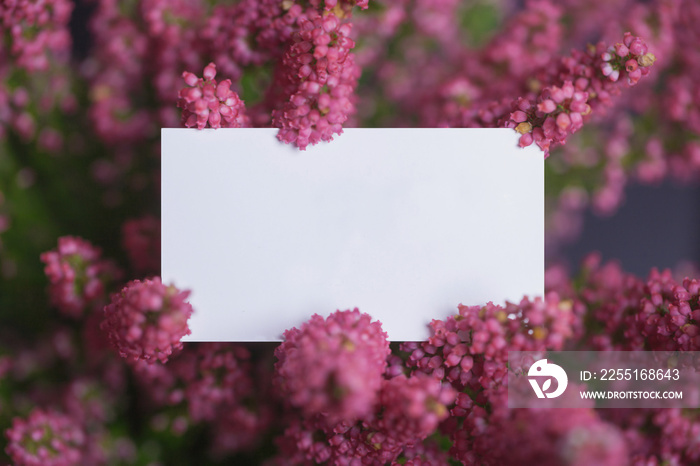 Blank card mockup clear white paper template with space for text over soft nature background with heath. Green,violet and purple colors.