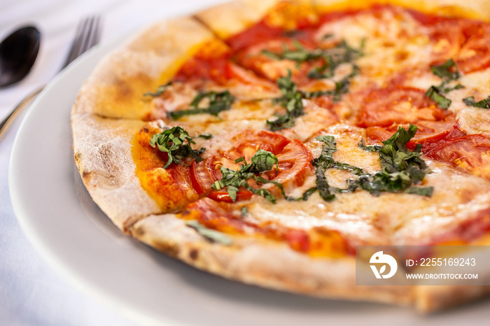 A closeup view of a small margherita pizza pie, in a restaurant or kitchen setting.