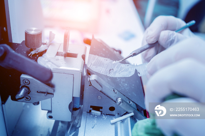 Laboratory assistant works on a rotary microtome section and making microscope slides