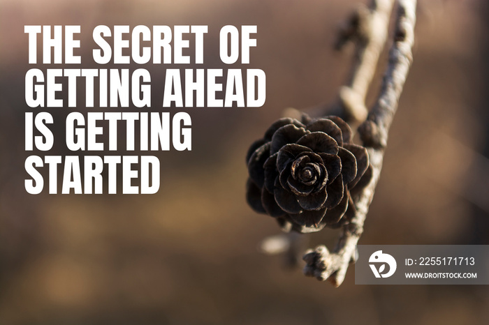 The secret of getting ahead is getting started