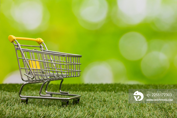 Shopping basket in the background of nature, Creative, Concept, Responsible shopping and business with care for the environment, Empty space