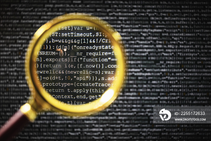 concept of hacking or programming code bug search