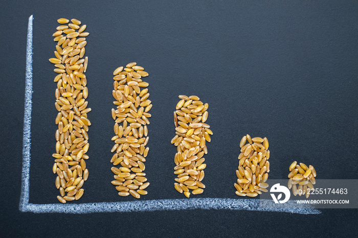 Bar chart of wheat grains, declining world wheat supply. Food crisis and world hunger concept background