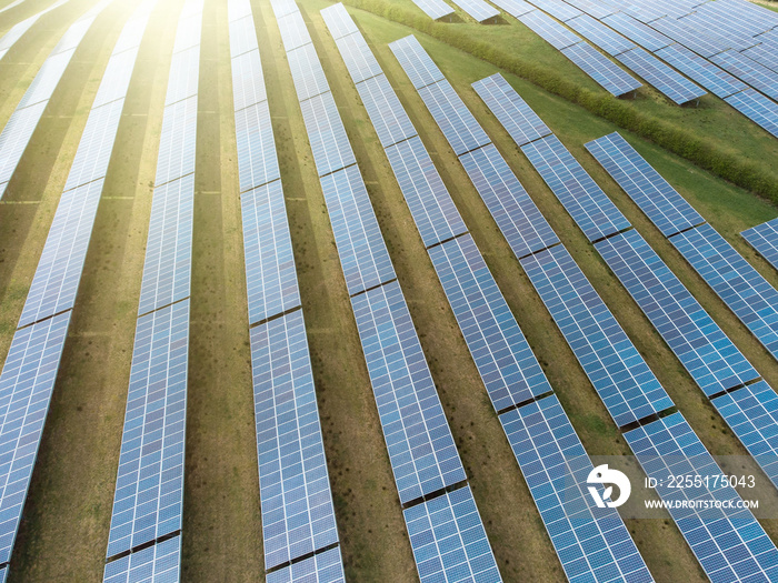 Sun rising over array solar panel farm in rows over sunny field. Renewable green electricity energy generation with bright sunshine fuel warming landscape.