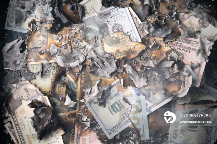 burned US dollar bills, financial concept