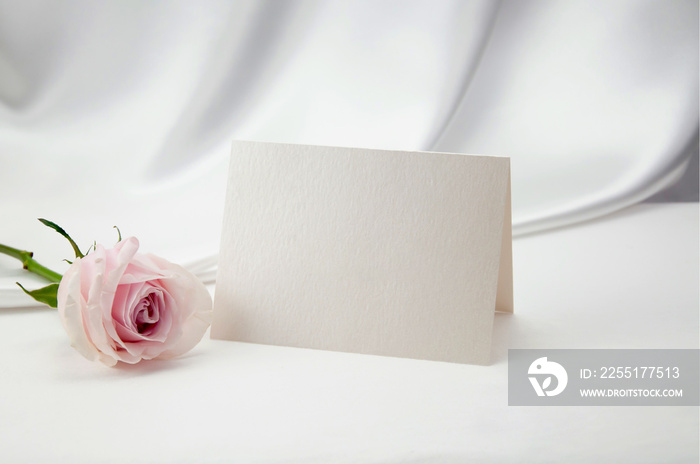 Mockup blank card, for Name place, Folded, greeting, invitation with pink rose on white background.