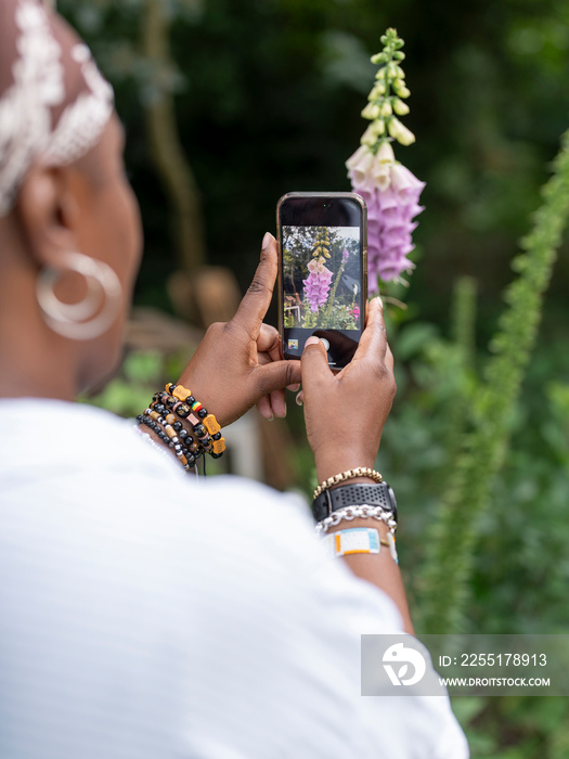 Mature woman photographing flowers in garden