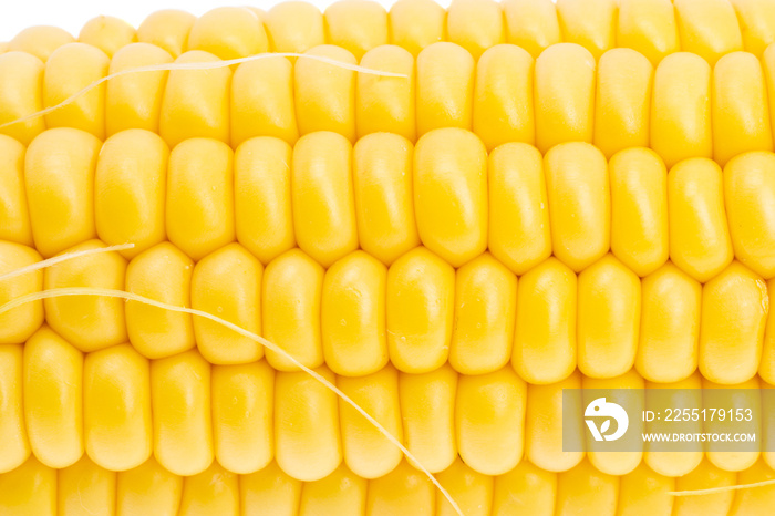 background of young corn close up