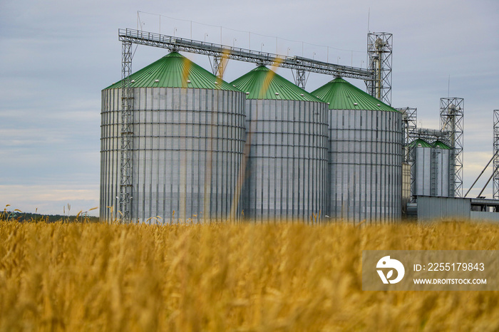 Group of grain dryers complex on the background of a yellow field of wheat or barley.