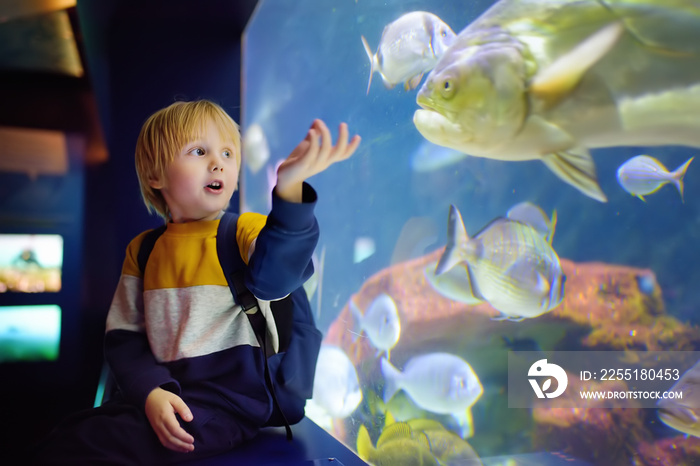 Little boy watches fishes in seaquarium.