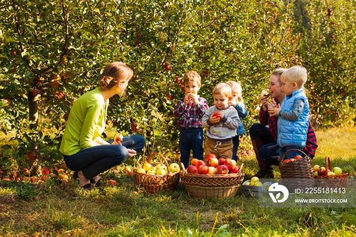 Teacher with preschoolers in the apple garden