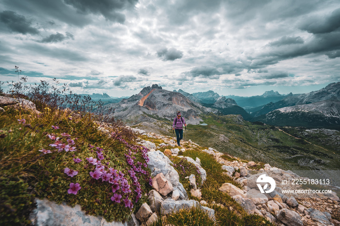 Young woman is hiking on beautiful trail with flowers from Baires Lake to Seekofel in the Dolomite mountains in the morning. Seekofel, Dolomites, South Tirol, Italy, Europe.