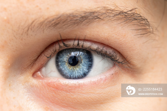 A close-up shot on the eye of a pretty Caucasian woman. Details of the eyelashes, eyebrow and blue iris. Health and beauty.