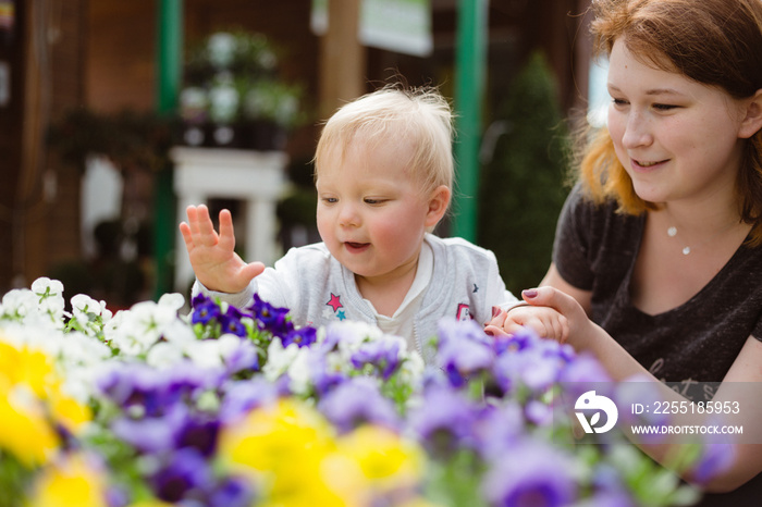 One year old exploring flower shop with her mother. Touching and smelling colorful pansies.