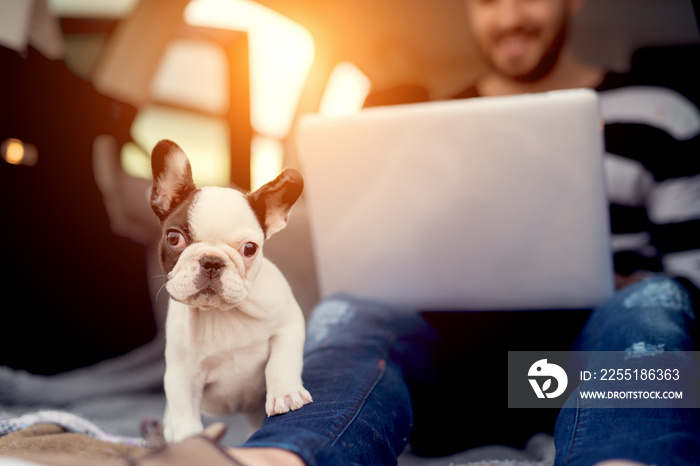 Little doggie looking at camera with paw on man’s leg. Man watching film on background.