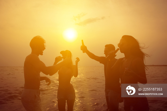 Group of friends enjoying drinking alocohol